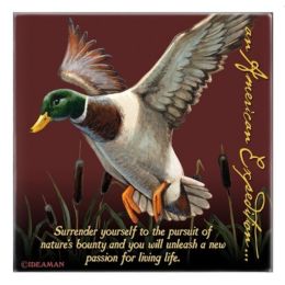 American Expedition Square Coaster - Mallard